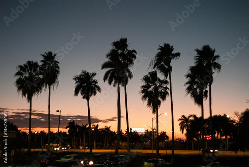 Miami Sunset © Luis