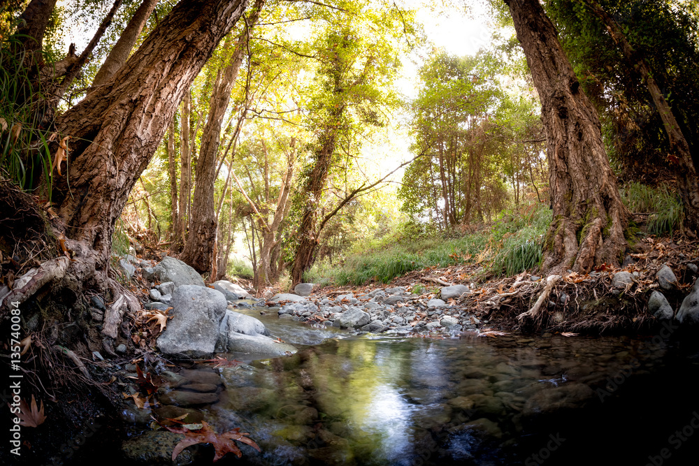 Fototapeta premium Krios River near Platres village. Limassol District, Cyprus