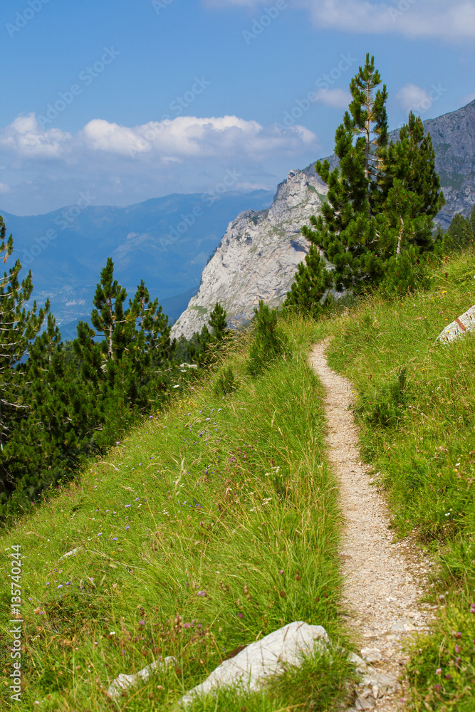 Trail in Prokletije Mountains 