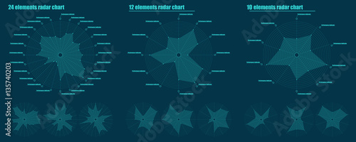 Set of Infographic pattern. 10, 12, 24 elements radar chart. The same text inscription for example. Different empty chart with no labels. Vector illustration.