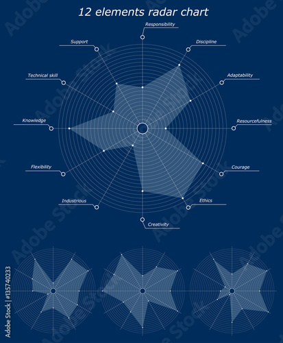 Infographic pattern. 12 elements radar chart. Character personality business traits inscriptions for example. Different empty chart with no labels. Vector illustration.