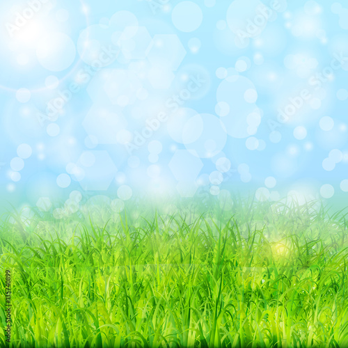 Nature background with green grass and blue sky vector