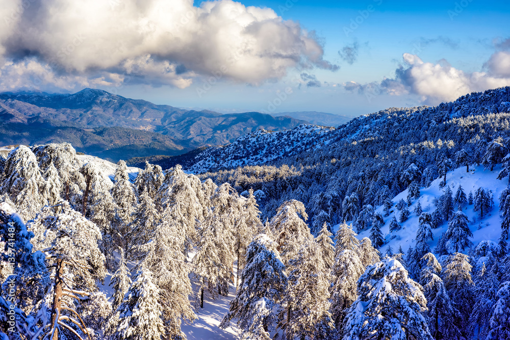 Fototapeta premium Troodos mountain range in winter. Cyprus