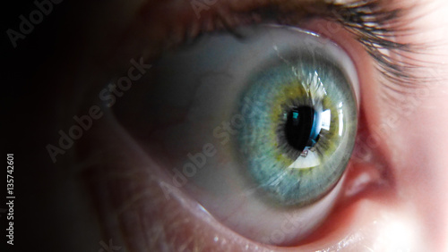 Side view of blue/green human eye