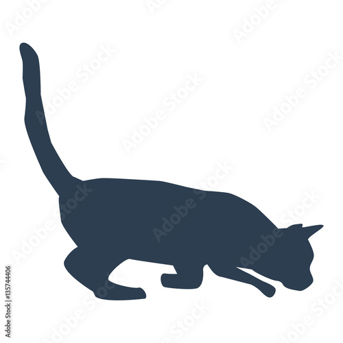 cat icon on white background