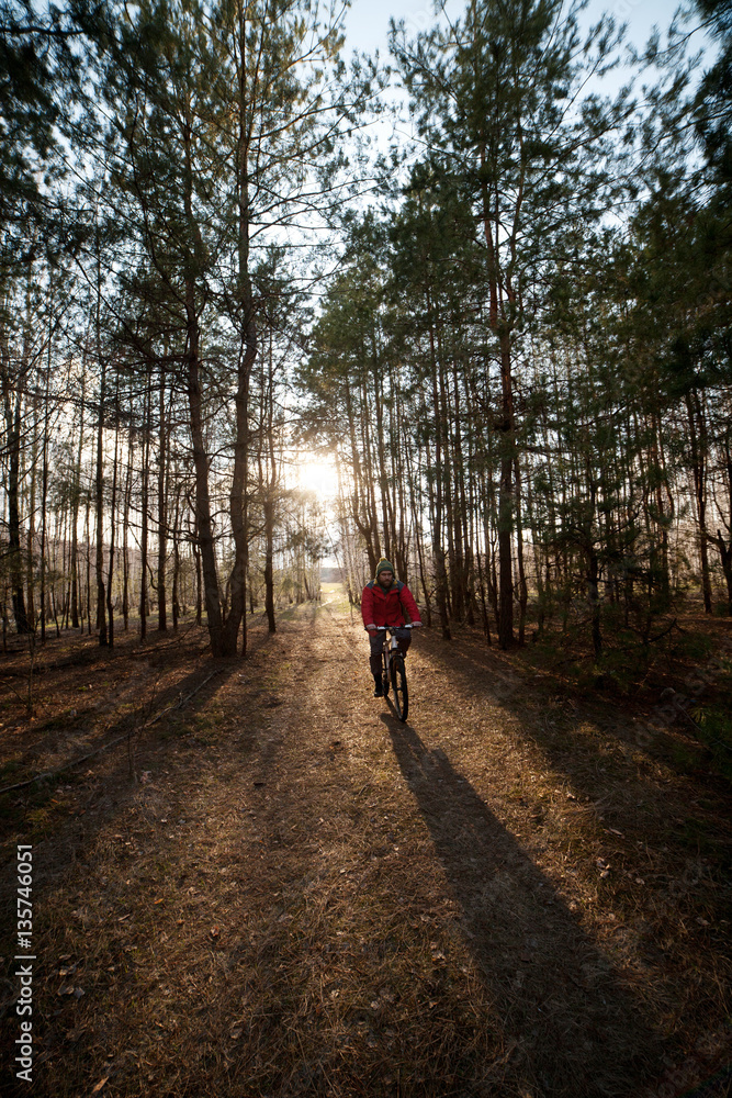 Man is cycling on forest road in evening with sunlight Man is cycling on forest road in evening with sunlight