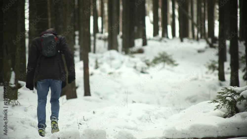 shot of man goes up the hill in the woods at winter shot of man goes up the hill in the woods at winter