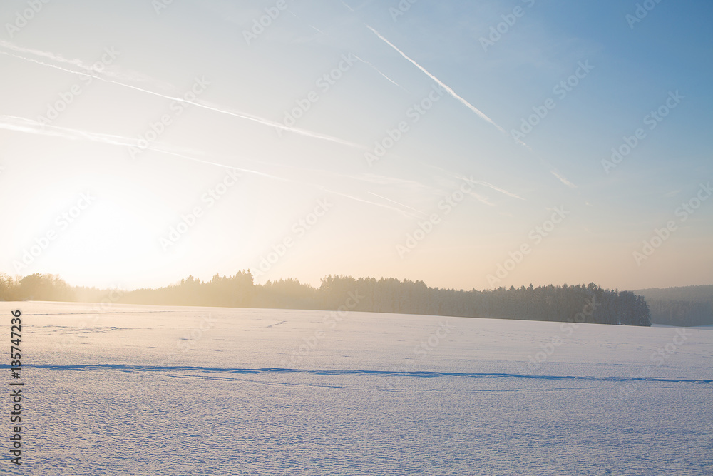winter landscape under white snow