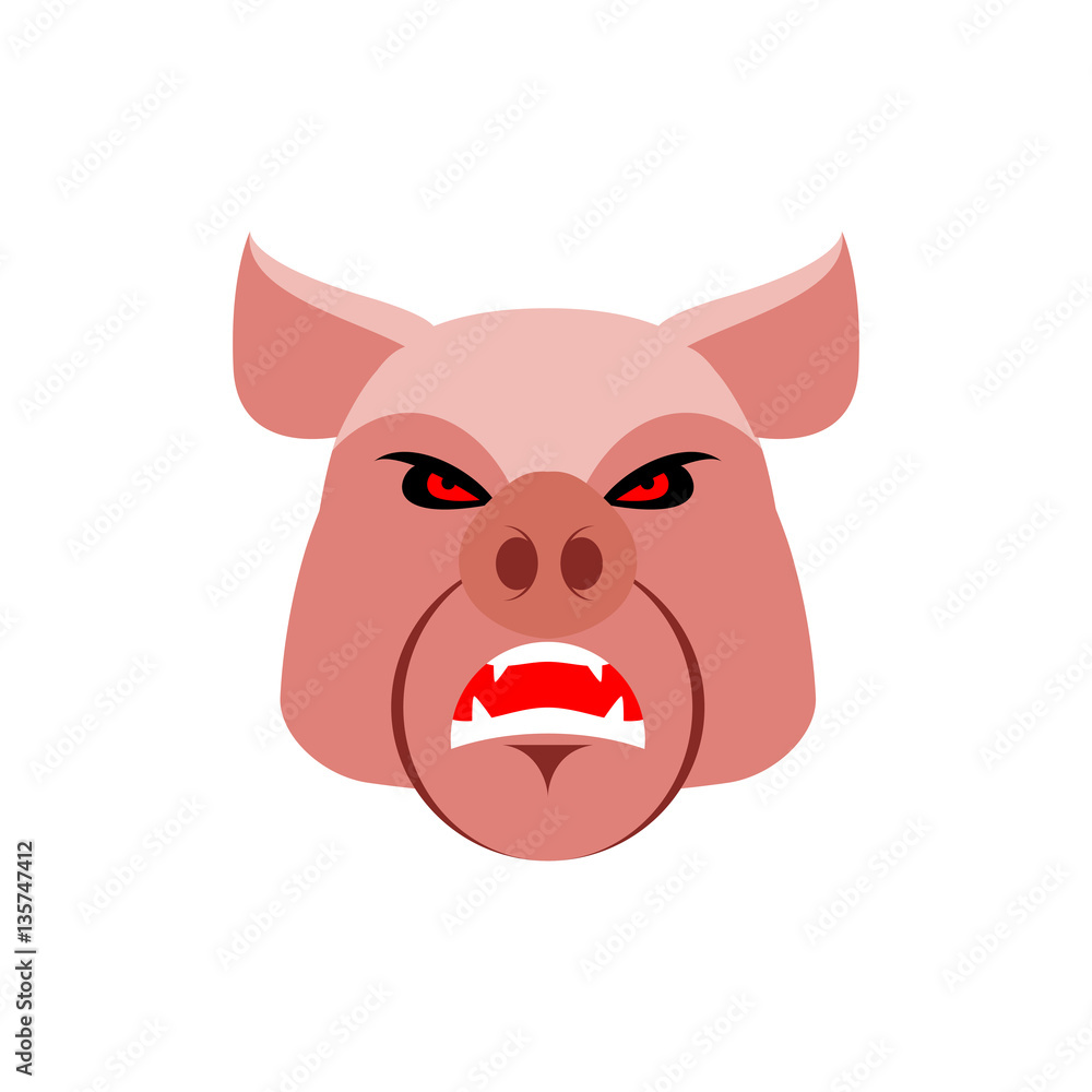 Angry pig. Evil boar. grumpy hog. Aggressive piggy Angry pig. Evil boar. grumpy hog. Aggressive piggy