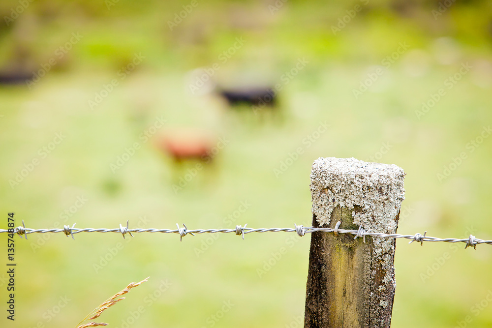 Fototapeta premium Timber Farm Fence