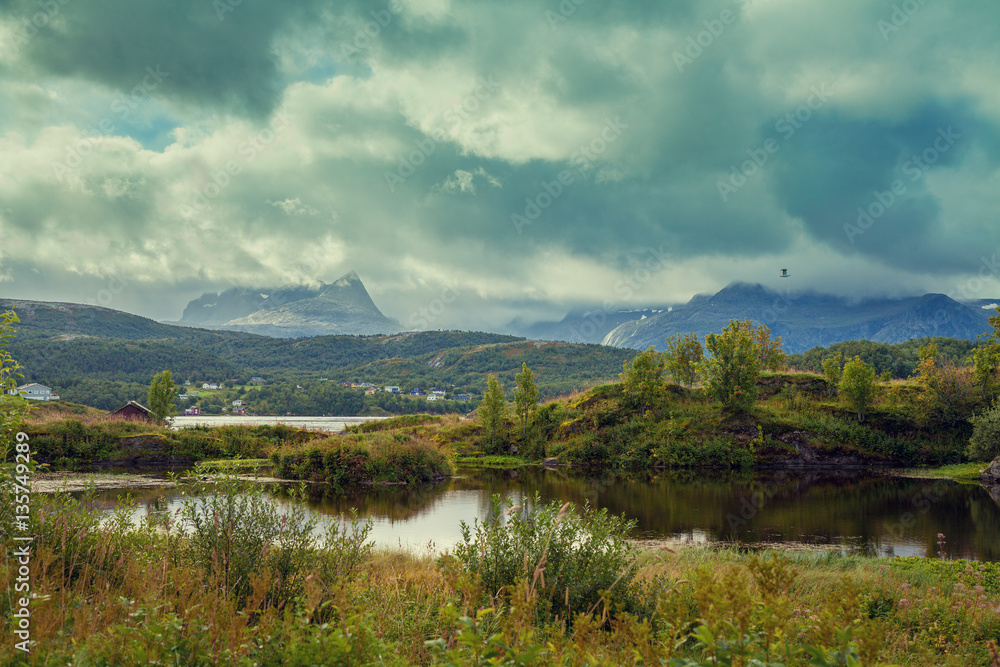 Landscape with mountain river in rainy day. Beautiful nature Norway