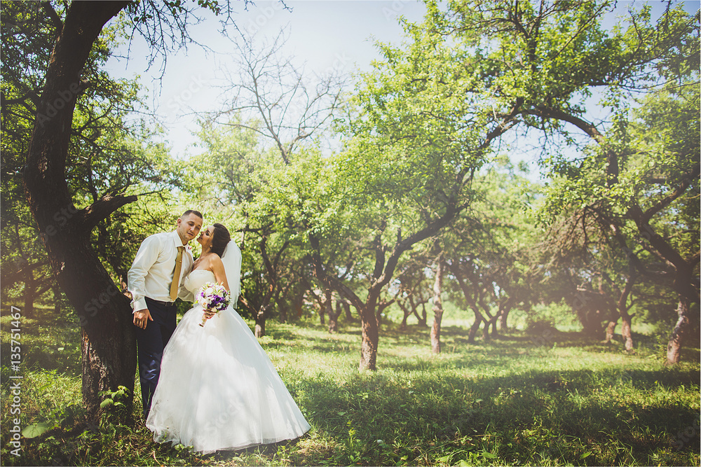 Bride and groom in a park kissing.couple newlyweds at wedding in nature green forest are photo portrait. Bride and groom in a park kissing.couple newlyweds at wedding in nature green forest are photo portrait.