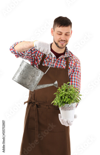 Male florist watering house...