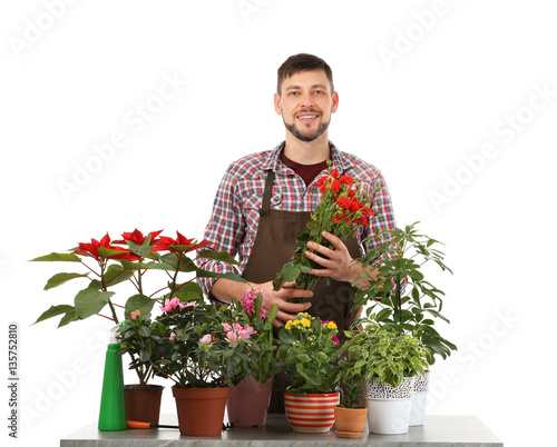 Male florist with beautiful...