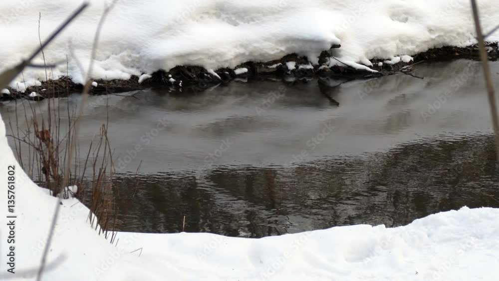 Stream in Winter With Reflection and Steam Stream in Winter With Reflection and Steam