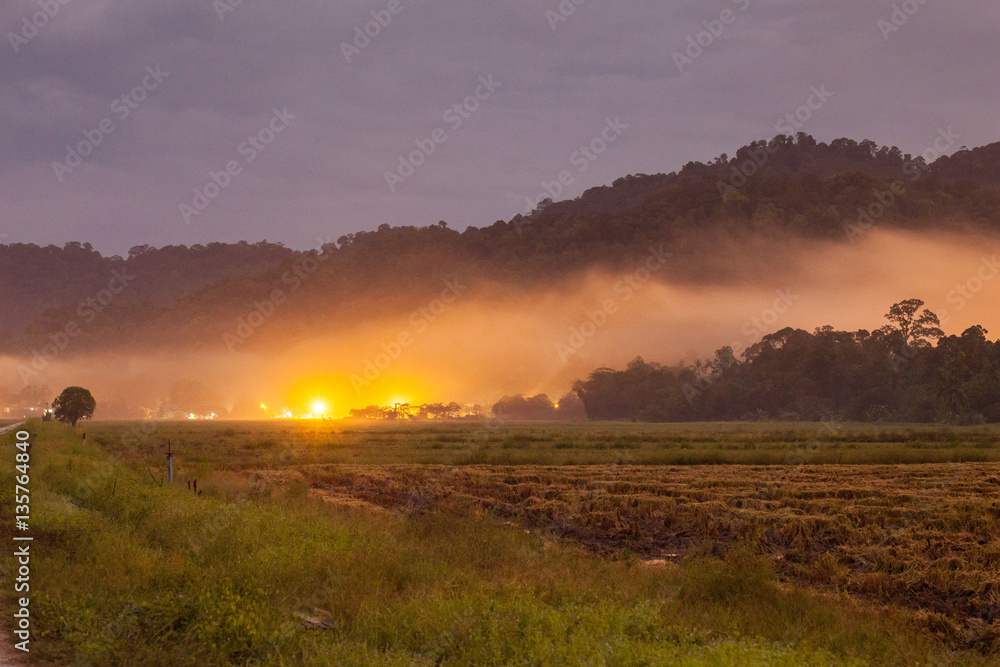 Harvested rice field view with sunrise background
