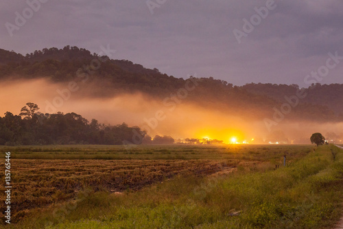 Harvested rice field view with sunrise background 