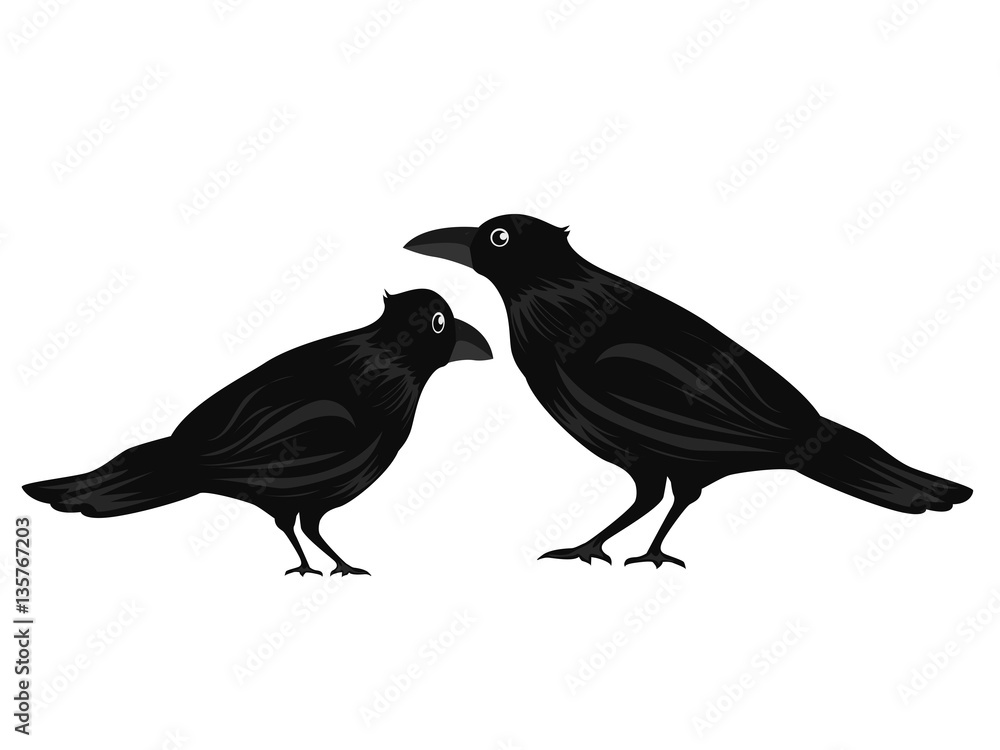 Obraz premium カラスの親子