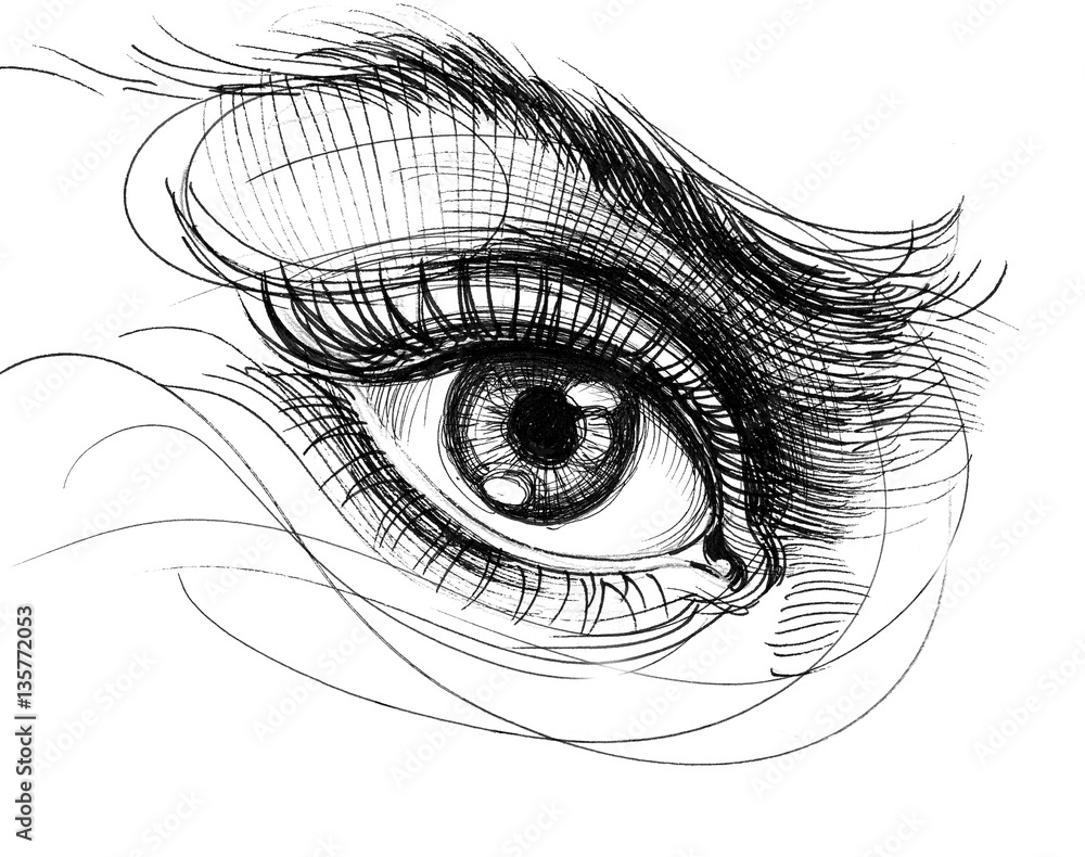 Obraz premium Beautiful eye line sketch