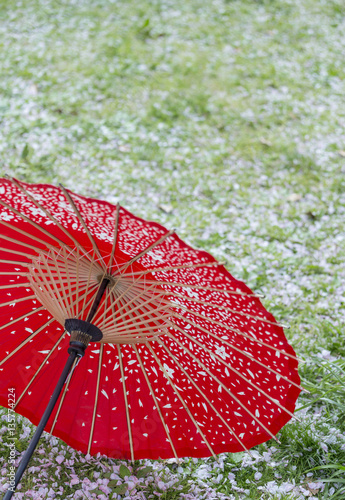 Red Japanese umbrella on green grass