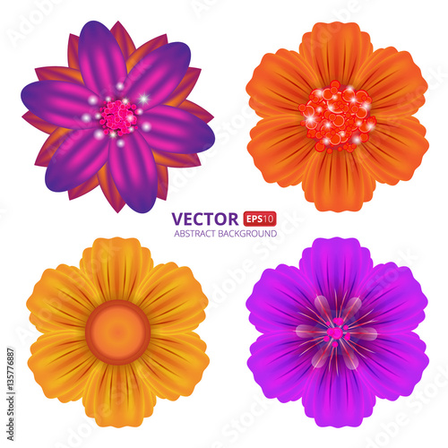 Vector floral Set of beautiful colorful flowers on a black background. Vector illustration.