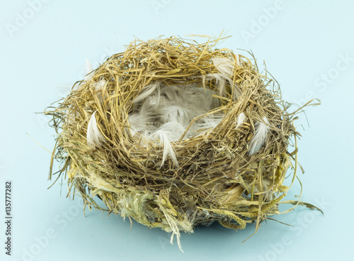 Empty bird's nest with feathers on blue background - Conceptual
