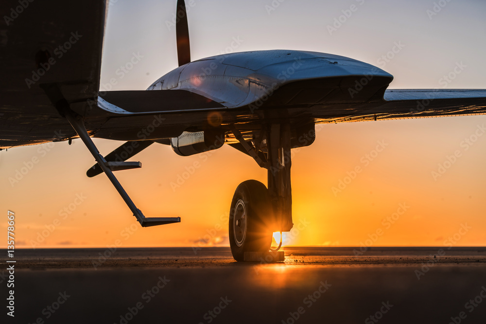 Fototapeta premium small plane on the runway
