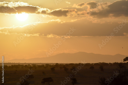 Sunset over the savanna