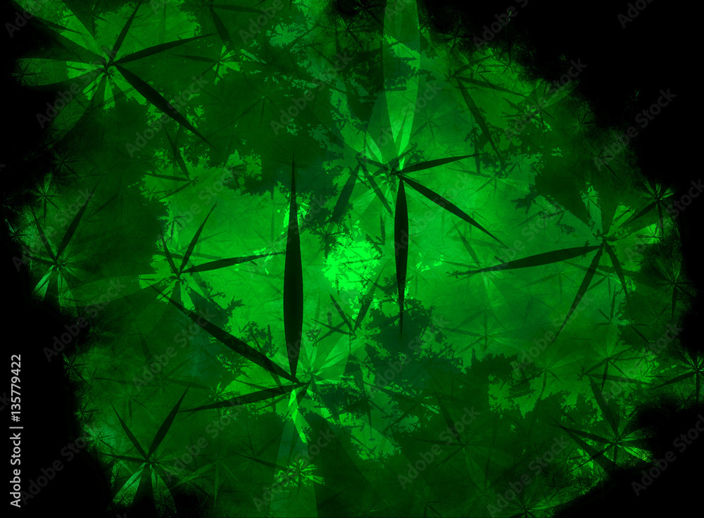 Obraz premium Amazon Canopy