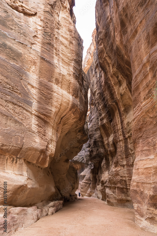 View of a gorge in the city of Petra in Jordan