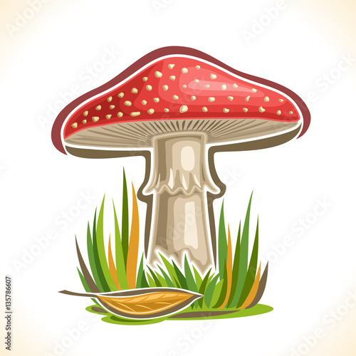 Vector logo red Toadstool Mushroom: cartoon still life with single toxic plant amanita muscaria and autumn grass, magic fly agaric mushroom on nature outdoors, icon poisonous toadstool organic fungus.