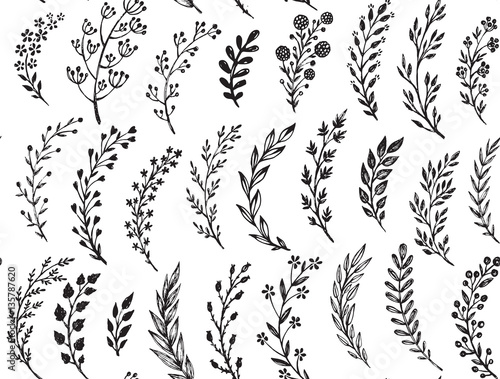 Seamless pattern with hand drawn leaves and branches.