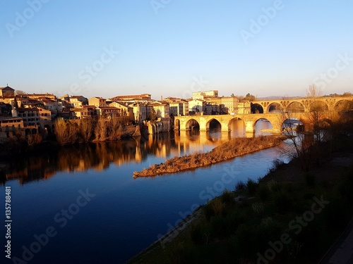 Paysage avec les pont d'Albi