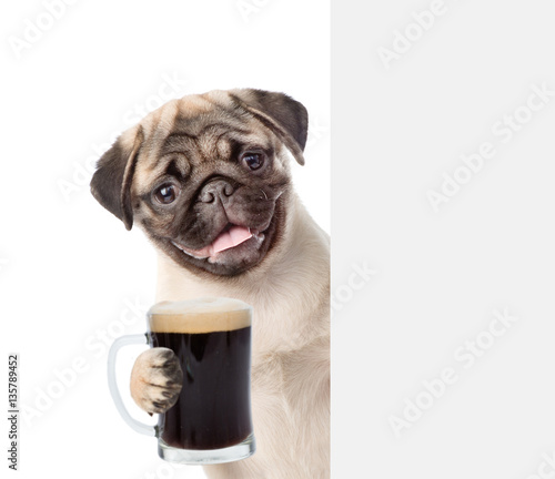 Dog holding beer peeking from behind empty board. Isolated on white © Ermolaev Alexandr