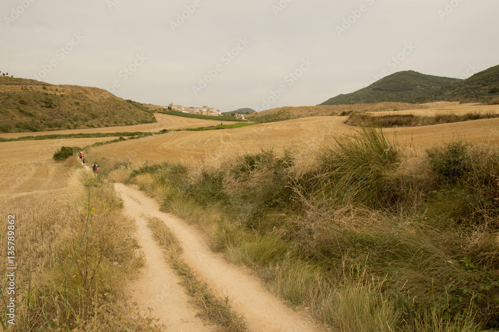 Camino de Santiago from Puente la reina to Estella