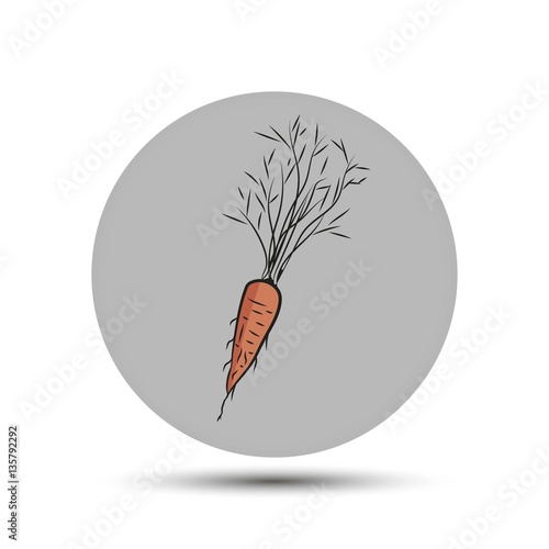 carrot. vector icon on gray background