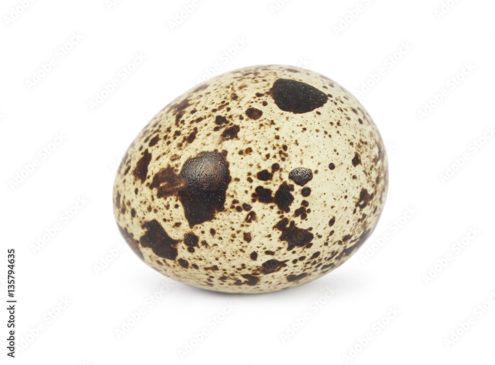 Quail egg