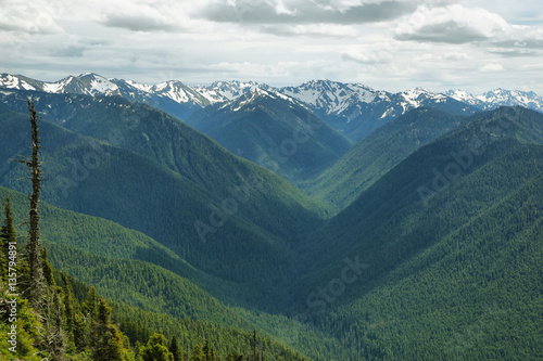 Hurricane Ridge of Olympic National Park, WA, USA © estivillml