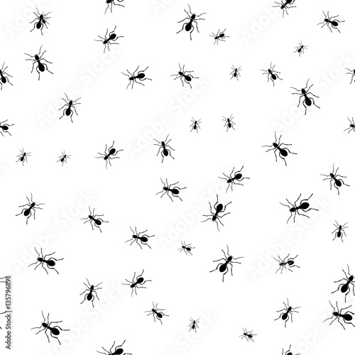 ants group isolated on white background. Seamless