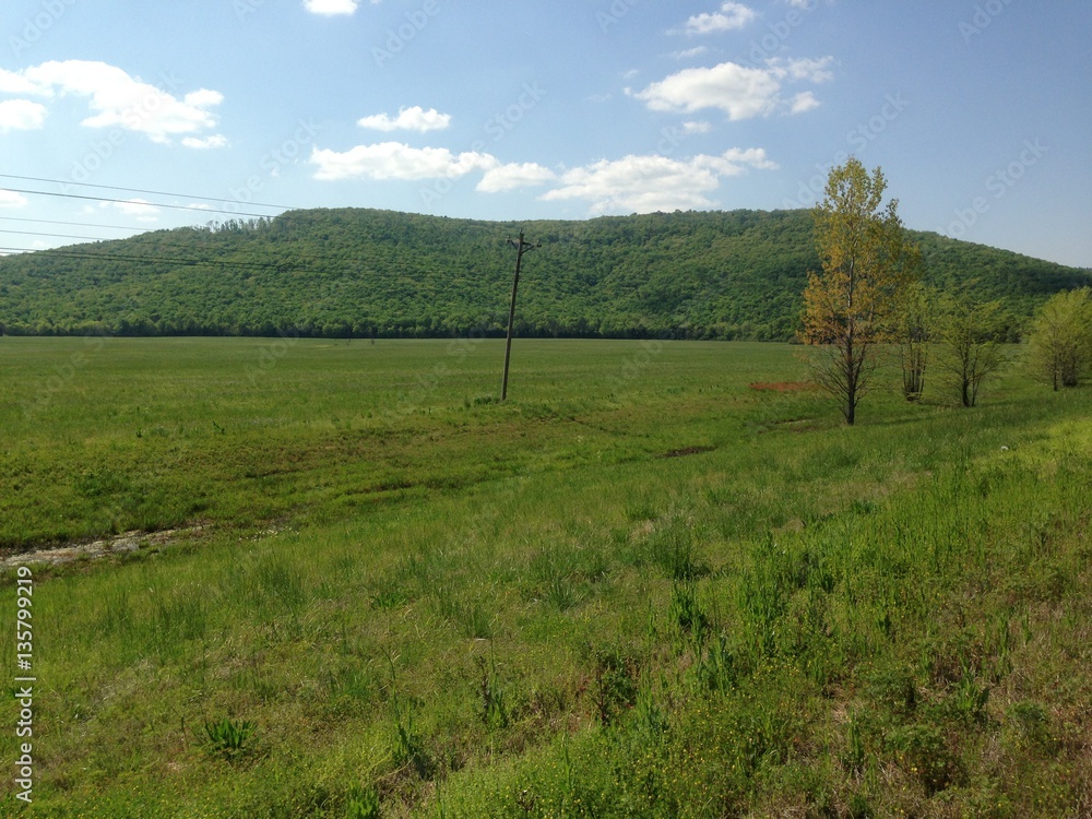 Fototapeta premium Countryside