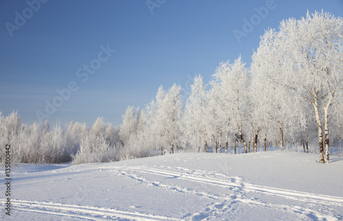 Winter landscape with snow covered trees .