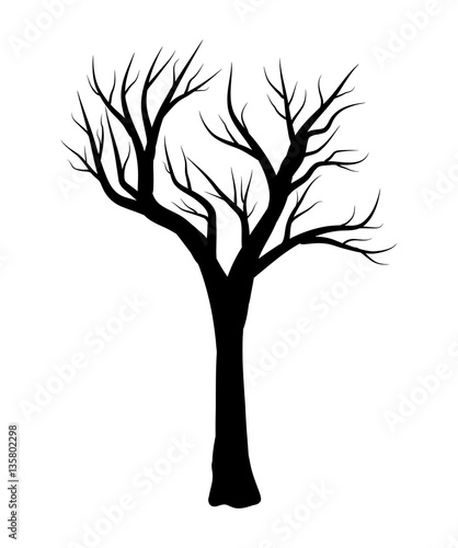 bare tree vector symbol icon design.