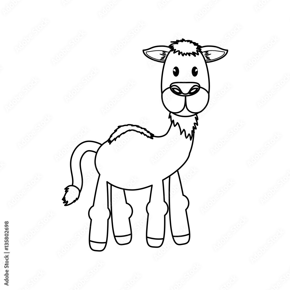 Camel animal cartoon icon vector illustration graphic design Camel animal cartoon icon vector illustration graphic design