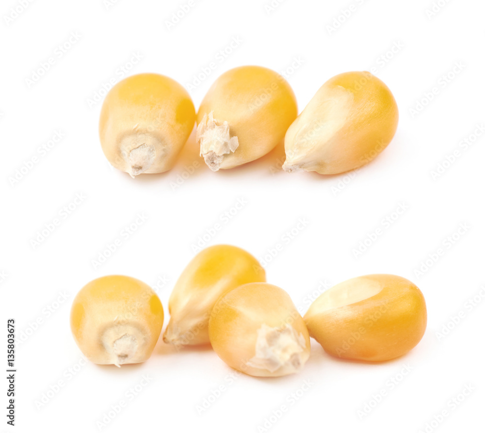 Pile of corn kernels isolated Pile of corn kernels isolated