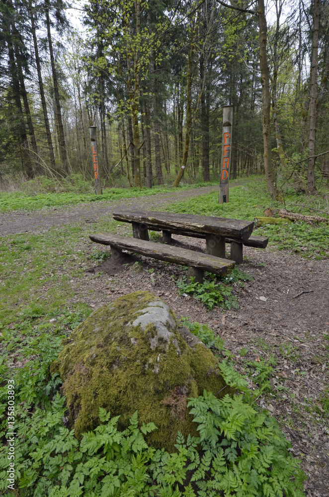 Fototapeta premium rastplatz im wald