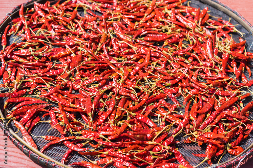 Fototapeta premium Dried chili