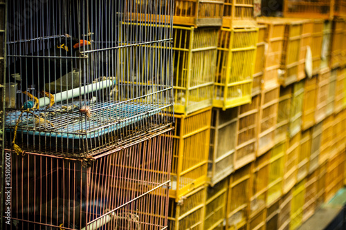 Stacks of bird cages