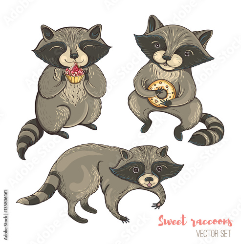 vector set of cute raccoons