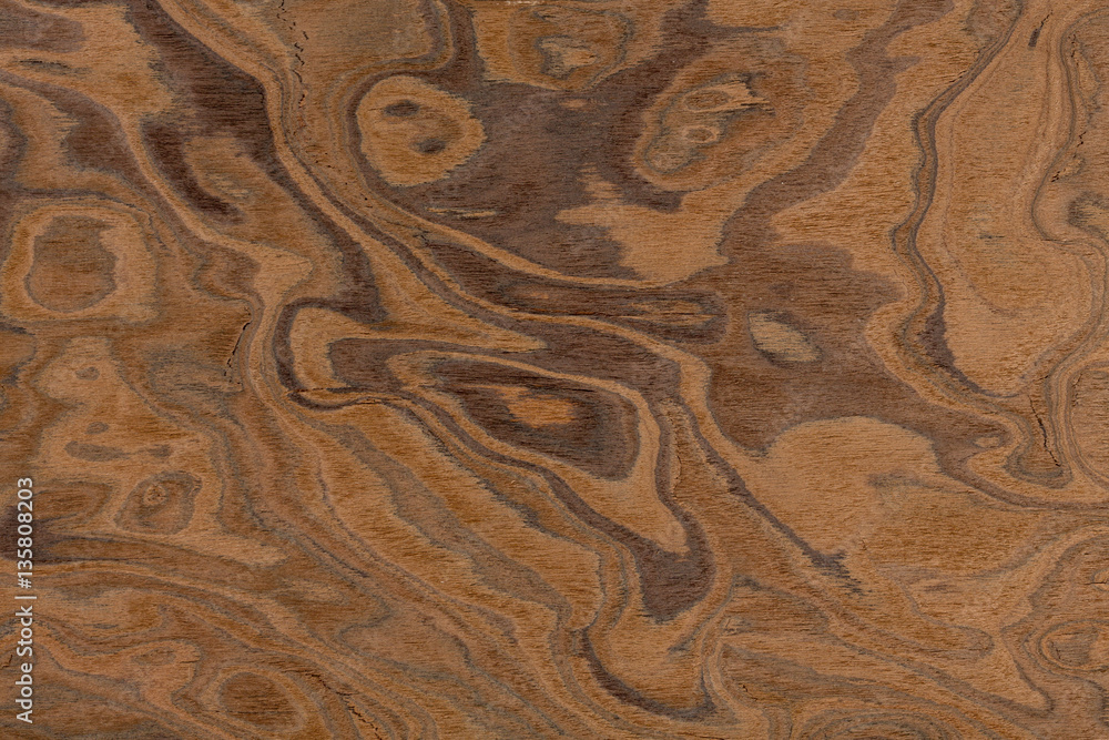 Californian walnut burl design texture. Natural background close