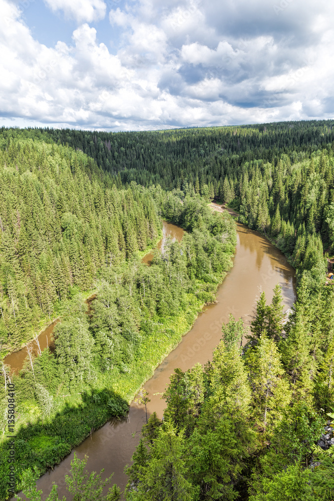 Naklejka premium Top view of the river valley. Dense forest